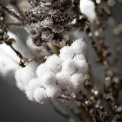 6"H Sullivans Frosted Silver Berry Orb; White