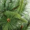 Northlight 3' Ashcroft Cashmere Pine Artificial Christmas Tree- Unlit