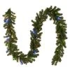 National Tree Company Pre-Lit Artificial Christmas Garland, Green, North Valley Spruce, Dual Color LED Lights, Plug In, Christmas Collection, 9 Feet -Outlet Xmas Decor Tree Store GUEST ae510fcd 2b3f 4c7f b0b3 2b5684dca59c