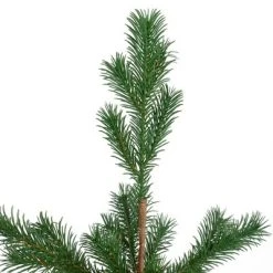 Northlight 2' Ponderosa Pine Artificial Christmas Tree Jute Base Decoration – Unlit -Outlet Xmas Decor Tree Store GUEST aec2467d 65c0 48e0 aafd eb0cb564b56b