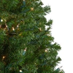 Northlight 5' Prelit Artificial Christmas Tree Medium Canadian Pine - Clear Lights 10 Northlight 5' Prelit Artificial Christmas Tree Medium Canadian Pine - Clear Lights -Outlet Xmas Decor Tree Store GUEST b02637fe 247d 444e bf21 8a2ba2408310