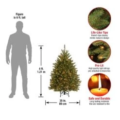 National Tree Company 4 ft Pre-Lit Artificial Mini Christmas Tree, Green, Dunhill Fir, White Lights, Includes Stand -Outlet Xmas Decor Tree Store GUEST b7ed0c20 d470 4bde 9b19 a826a11e3f29