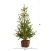 28in Nearly Natural Unlit Alpine Artificial Christmas Tree with Pinecones in Wood Planter -Outlet Xmas Decor Tree Store GUEST b839c5af 60c6 45e5 82b1 91de6582dff4