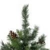 Northlight 4' Snowy Delta Pine with Pine Cones Full Artificial Christmas Tree - Unlit -Outlet Xmas Decor Tree Store GUEST b8b17e73 17d7 43d0 a20f 4787813b652e