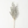 26"H Sullivans Silver Berry Spray; Silver -Outlet Xmas Decor Tree Store GUEST b8f641b7 6590 42c0 8621 cb85f03d6556