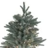 Northlight 10' Prelit Artificial Christmas Tree Slim Washington Frasier Fir - Clear Lights