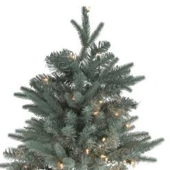 Northlight 10' Prelit Artificial Christmas Tree Slim Washington Frasier Fir - Clear Lights