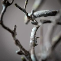 44.5"H Sullivans Manzanita Twig Branch; Brown