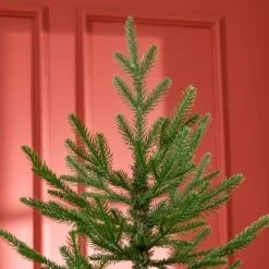 HOMCOM 6 Foot Artificial Christmas Tree, Pine Hinged Xmas Tree with 795 Realistic Branches, Steel Base, Auto Open, Green -Outlet Xmas Decor Tree Store GUEST bf3caf9d bcab 4fa8 8a05 6f5e0fd9a365