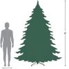 Northlight 9' Canadian Pine Artificial Pencil Christmas Tree - Unlit 2 Northlight 9' Canadian Pine Artificial Pencil Christmas Tree - Unlit -Outlet Xmas Decor Tree Store GUEST c0f6045d da17 4c4b a247 fea7f86a3932 1