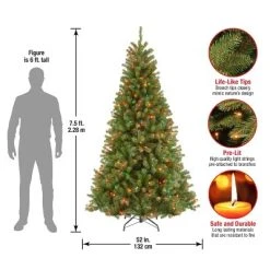 National Tree Company 7.5 ft Pre-Lit Artificial Slim Christmas Tree, Green, North Valley Spruce, Multicolor Lights, Includes Stand -Outlet Xmas Decor Tree Store GUEST c3346741 6fa5 40b3 bf2a d597c1f953dc