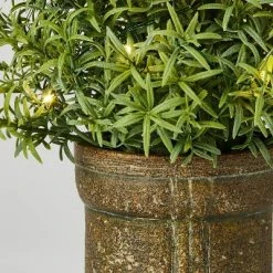 Threshold Designed W/Studio McGee Rosemary Pre-Lit Christmas Arrangement - Threshold™ designed with Studio McGee 6 Threshold Designed W/Studio McGee Rosemary Pre-Lit Christmas Arrangement - Threshold™ designed with Studio McGee -Outlet Xmas Decor Tree Store GUEST c3f88f63 3f38 4689 a4ae 489d5cce09d2