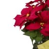 Northlight 20" Red Artificial Christmas Poinsettia with Gold Wrapped Pot -Outlet Xmas Decor Tree Store GUEST c465c6a7 5c13 45d9 9c5a c818be14e2d8