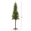 7ft Nearly Natural Pre-Lit LED Slim Alaskan Alpine Artificial Christmas Tree Clear Lights -Outlet Xmas Decor Tree Store GUEST c5ac450c 06f9 4955 a54d 6e7fb6b344e4