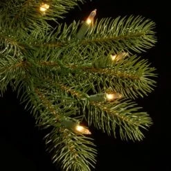 National Tree Company 6.5 ft Pre-Lit 'Feel Real' Artificial Slim Downswept Christmas Tree, Green, Douglas Fir, Dual Color LED Lights, PowerConnect -Outlet Xmas Decor Tree Store GUEST c7d34985 2c67 4a30 b7dc db4382962ee1