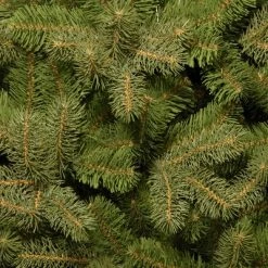 National Tree Company 7 ft 'Feel Real' Artificial Full Downswept Christmas Tree, Green, Douglas Fir, Includes Stand -Outlet Xmas Decor Tree Store GUEST c9072621 822e 4872 8d42 441b470ab700 1