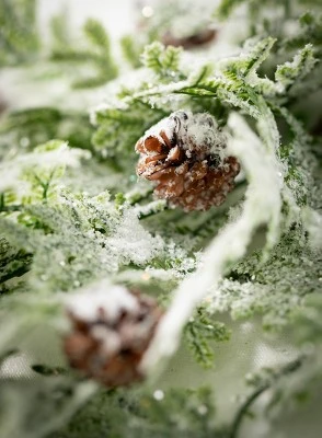 Sullivans Frosted Fern & Cone Artificial Vine 31"H Green 3 Sullivans Frosted Fern & Cone Artificial Vine 31"H Green