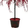 CMI 3.8' Unlit Artificial Christmas Tree Copper Holiday Crystallized Potted Glitter