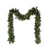 Kurt S. Adler Kurt Adler Kurt Adler 9-Foot Pre-Lit Warm White LED Jackson Pine Garland