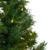 Northlight 2' Pre-Lit Medium Royal Pine Artificial Christmas Tree - Clear Lights 2 Northlight 2' Pre-Lit Medium Royal Pine Artificial Christmas Tree - Clear Lights -Outlet Xmas Decor Tree Store GUEST c994d2f6 1b30 4beb 98ac 9d9dee3c770d