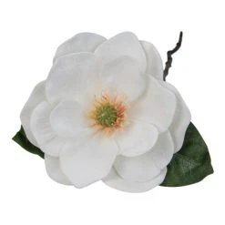 Northlight 31" White and Green Artificial Magnolia Christmas Stem Decor