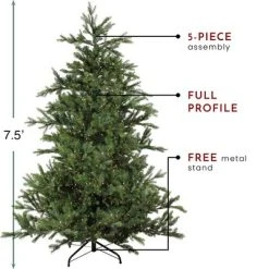 Northlight 7.5' Prelit Artificial Christmas Tree LED Oregon Noble Fir- Warm White Lights 13 Northlight 7.5' Prelit Artificial Christmas Tree LED Oregon Noble Fir- Warm White Lights -Outlet Xmas Decor Tree Store GUEST cec69e8a f2ee 4908 be82 46c6ff9d67c4
