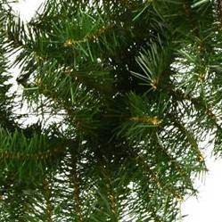 Vickerman Artificial Canadian Pine Garland Unlit 4 Vickerman Artificial Canadian Pine Garland Unlit - Image 2
