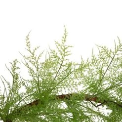 Northlight 5' x 8" Green Cedar Artificial Christmas Garland, Unlit