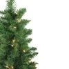 Northlight Set of 2 Pre-Lit Whitmire Pine Potted Artificial Christmas Trees 4' - Clear Lights -Outlet Xmas Decor Tree Store GUEST d046d375 1e1b 480c 8363 2a97f973020b