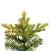 Vickerman Belmount Balsam Fir Artificial Christmas Tree 2 Vickerman Belmount Balsam Fir Artificial Christmas Tree -Outlet Xmas Decor Tree Store GUEST d1ae271c 35b3 4a55 b02c e699a086b2cf