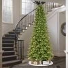 10ft Pre-lit Artificial Christmas Tree Full Forest Fir - Puleo -Outlet Xmas Decor Tree Store GUEST d26e1253 c722 4b90 86c2 5bd5fe17dd25