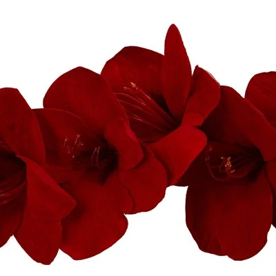 5' Amaryllis Silk Garland - Nearly Natural 4 5' Amaryllis Silk Garland - Nearly Natural - Image 2