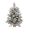 Transpac Artificial 24 in. Multicolor Christmas Frosted Tree in Bag Base -Outlet Xmas Decor Tree Store GUEST d38fe0ec 2691 4a2f acd9 0fca2abb83b9