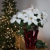 Northlight 22" White Artificial Christmas Poinsettia Flowers with Red Wrapped Base -Outlet Xmas Decor Tree Store GUEST d3c4483f 7612 4a36 9675 e2bd96a693df