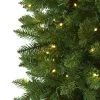 Nearly Natural Pre-Lit LED Slim Green Mountain Pine Artificial Christmas Tree Clear Lights -Outlet Xmas Decor Tree Store GUEST d671ae86 a4b2 48e0 8248 36d689fd7f44 1