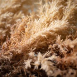 Sullivans Artificial Reed Garland Cream 6"H