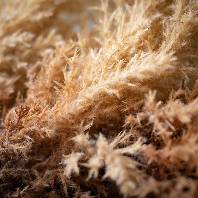 Sullivans Artificial Reed Garland Cream 6"H 3 Sullivans Artificial Reed Garland Cream 6"H