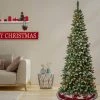 National Tree Company First Traditions 7.5' Pre-Lit LED Slim Cullen Hinged Artificial Christmas Tree Warm White Lights -Outlet Xmas Decor Tree Store GUEST d84cc77b 94ac 4217 9abe 7514e97820a4