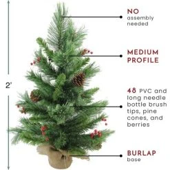 Northlight 24" Mixed Cashmere Berry Pine Medium Artificial Christmas Tree - Unlit -Outlet Xmas Decor Tree Store GUEST d948fa2c 97c0 4454 9aab be46d96e383a