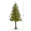 6ft Nearly Natural Pre-Lit LED Wyoming Alpine with Pinecones Artificial Christmas Tree Clear Lights 1 6ft Nearly Natural Pre-Lit LED Wyoming Alpine with Pinecones Artificial Christmas Tree Clear Lights -Outlet Xmas Decor Tree Store GUEST da124cf1 fb7e 45b4 826d 00607bc6a864