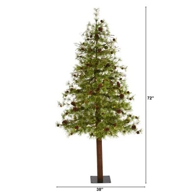 6ft Nearly Natural Pre-Lit LED Wyoming Alpine with Pinecones Artificial Christmas Tree Clear Lights 3 6ft Nearly Natural Pre-Lit LED Wyoming Alpine with Pinecones Artificial Christmas Tree Clear Lights