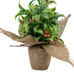 Northlight 8" Iced Artificial Christmas Holly Berry Plant in Burlap Base -Outlet Xmas Decor Tree Store GUEST da3a5b85 87a0 4fa7 8437 cc4db65ffdeb