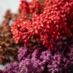 Sullivans Artificial Tall Slender Torch Stem Multicolor 45"H Set of 3