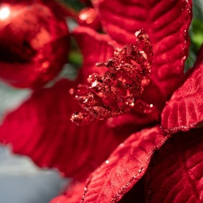 Sullivans Artificial Poinsettia And Pine Stem Multicolor 17"H 3 Sullivans Artificial Poinsettia And Pine Stem Multicolor 17"H