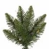 Vickerman Durham Pole Pine Artificial Christmas Tree -Outlet Xmas Decor Tree Store GUEST dd0f8f2b 7b06 4aec ab4a 33c9ad1a7497