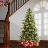 National Tree Company First Traditions 6' Pre-Lit LED Virginia Pine Artificial Christmas Tree White Lights 2 National Tree Company First Traditions 6' Pre-Lit LED Virginia Pine Artificial Christmas Tree White Lights -Outlet Xmas Decor Tree Store GUEST de6fcf08 466f 440a 9716 9dac94c270b6