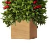 Haute Decor 18" Unlit Boxwood Artificial Christmas Tree with Berries in Wood Pot - Haute Décor