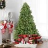 Northlight Real Touch™️ Pre-Lit Full Noble Fir Artificial Christmas Tree - Clear Lights - 6.5' -Outlet Xmas Decor Tree Store GUEST e0caa292 2f89 4485 ac47 01011a722348