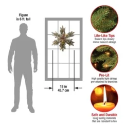 National Tree Company Pre-Lit Artificial Christmas Hanging Snowflake, Green, Glittery Bristle Pine, with Pine Cones, Frosted Branches,18 Inches 8 National Tree Company Pre-Lit Artificial Christmas Hanging Snowflake, Green, Glittery Bristle Pine, with Pine Cones, Frosted Branches,18 Inches -Outlet Xmas Decor Tree Store GUEST e12fd346 f403 44c2 be73 8a826ea3af10