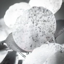 Sullivans Artificial Shiny Silver-Dollar Bundle Silver 14.5"H